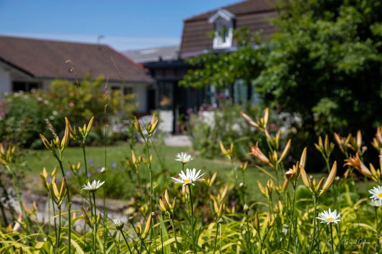 Villa Marguerite 65 Rue Legout Lesage 76260 Ponts Et Marais Exteriör bild
